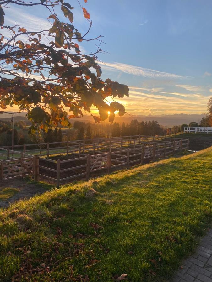 Gut Buchenhof Lejlighed Buchenberg  Eksteriør billede