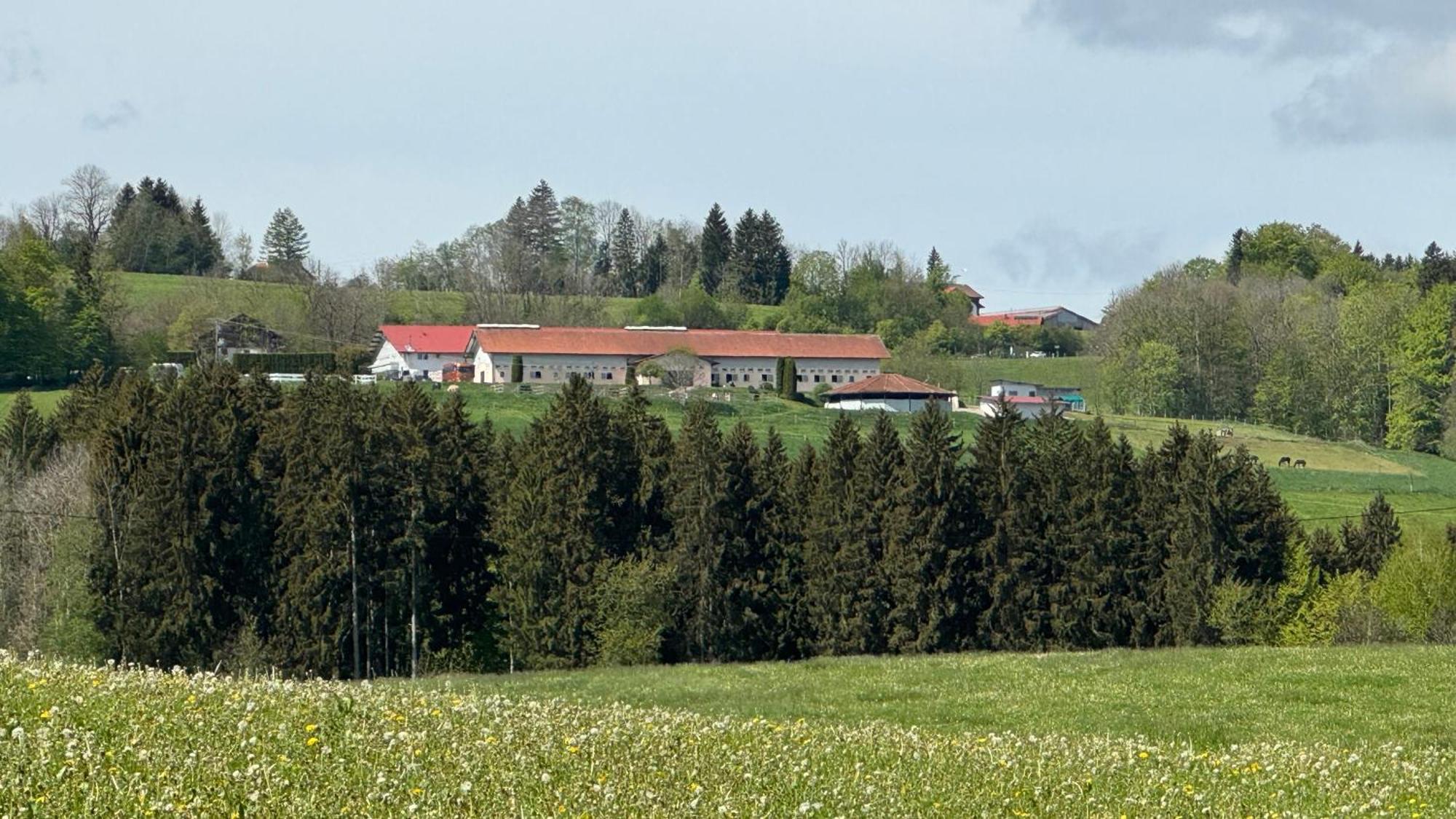 Gut Buchenhof Lejlighed Buchenberg  Eksteriør billede